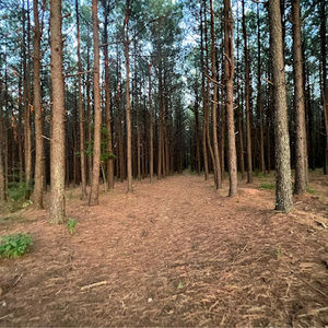 Meet your Posher, Lillian